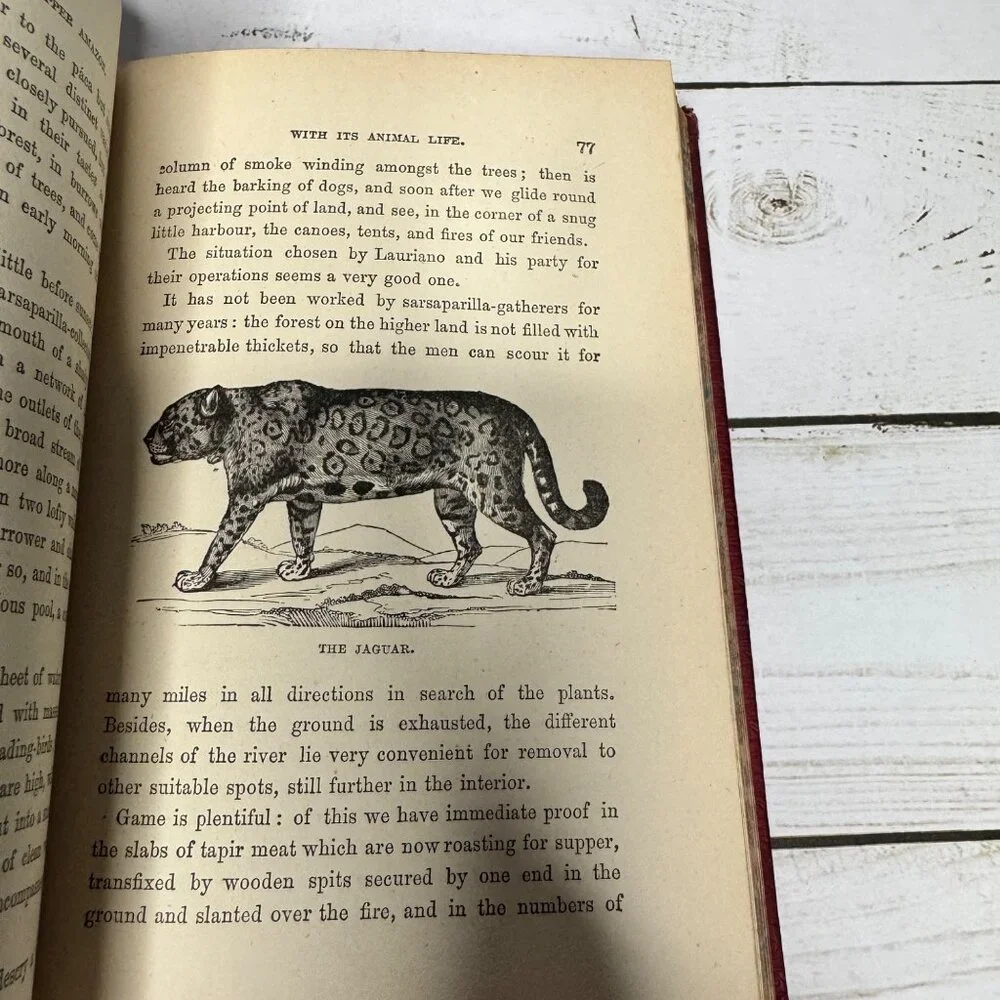 Half Hours in Woods and‎ Wilds 1883 HC Wm. Isbister Leather Spine Gift
